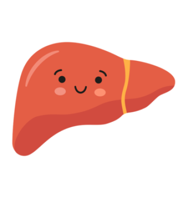 pngtree-healthy-happy-smiling-cute-liver-character-png-image_5077672